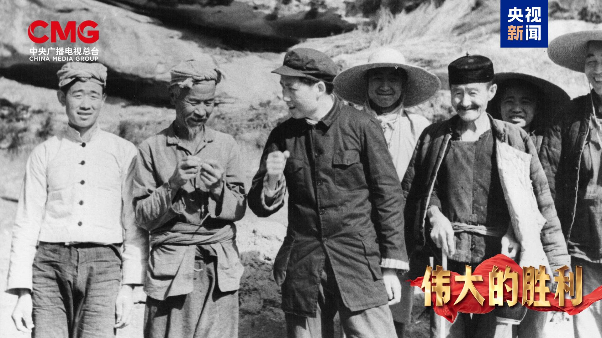 高密度口碑新片